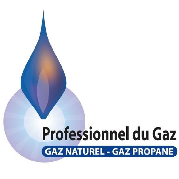 https://lesprofessionnelsdugaz.com/